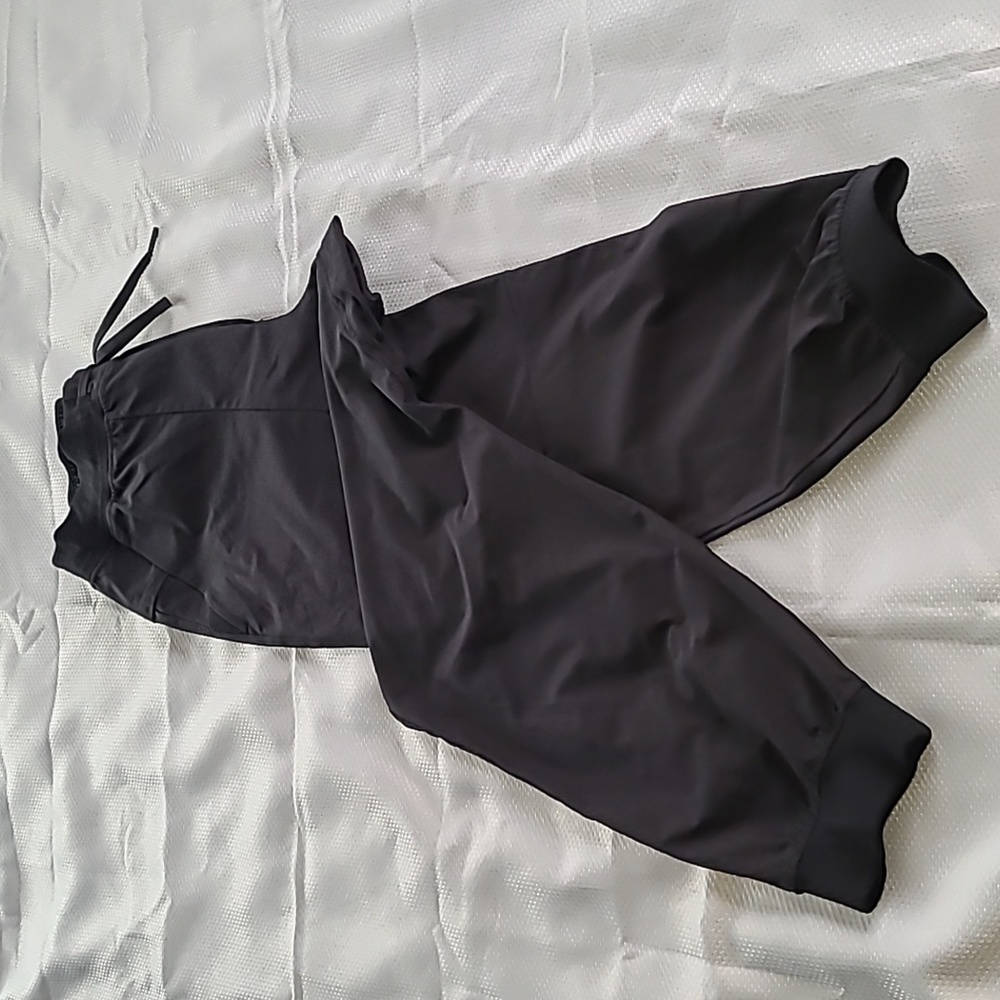 Lululemon ABC Jogger Sz L